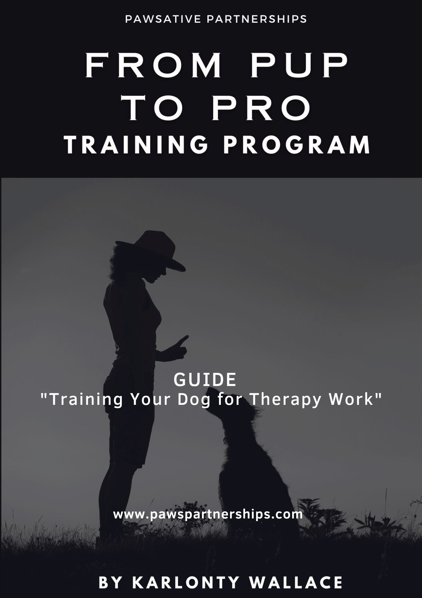 Pro Guide To Training