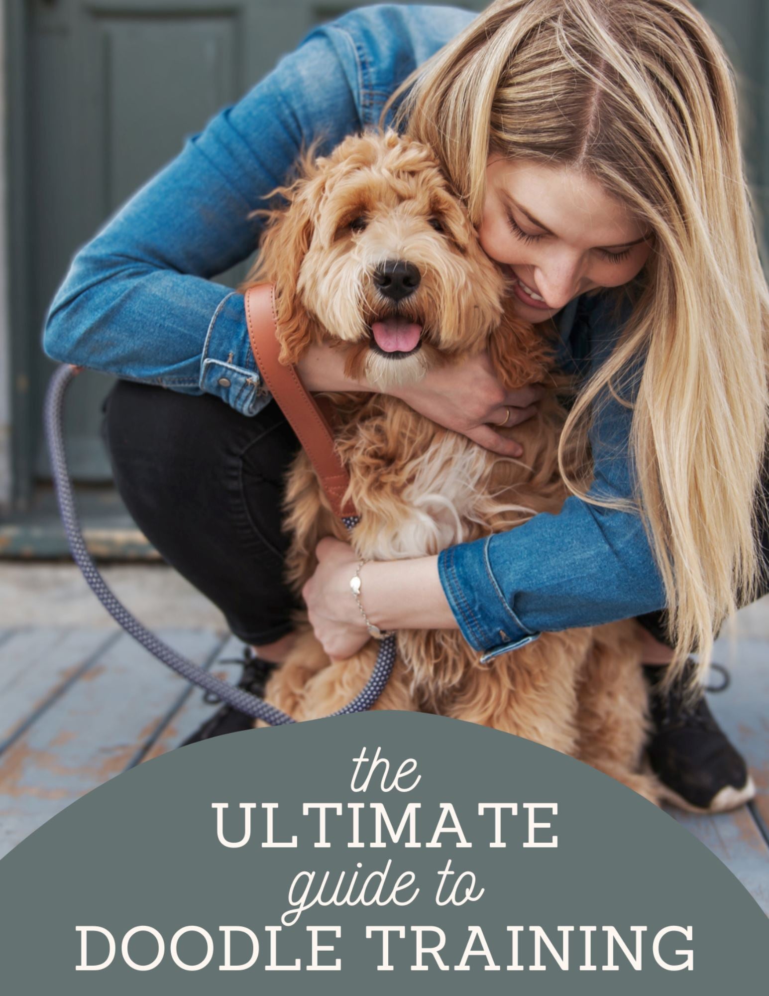 Goldendoodle 2024 training guide